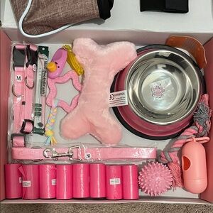 Pink Pet Kit with Glove and Toys in Beautiful Pink Box